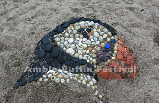 Amble Puffin Festival