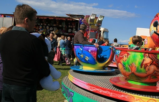 Amble Puffin Festival