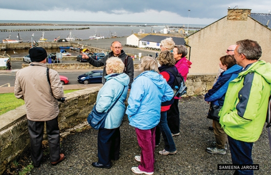 Amble Puffin Festival